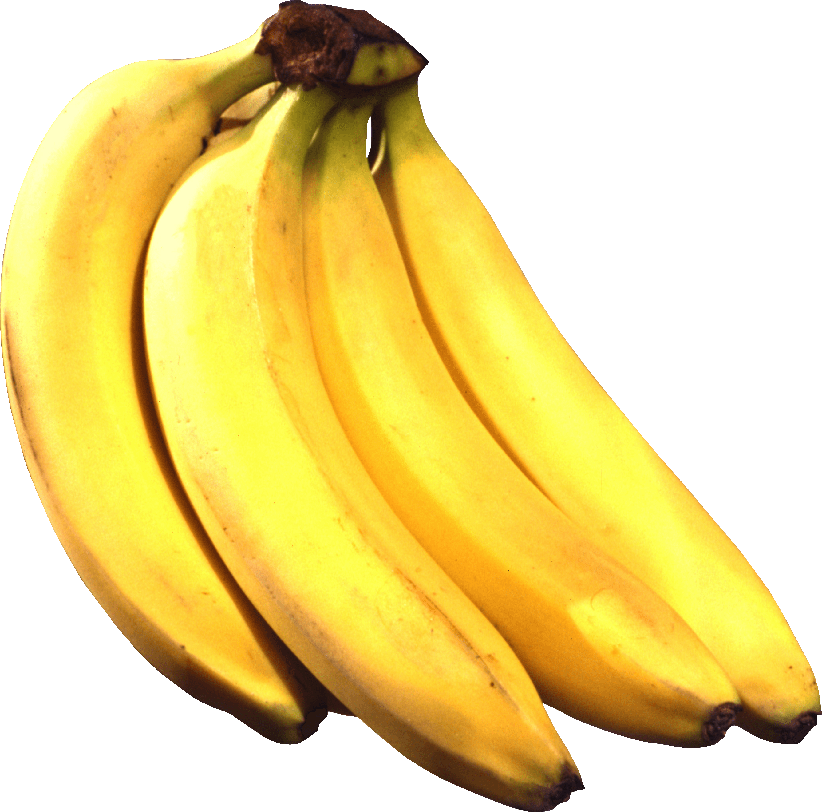 Moose Fanny Strawberry Avocado Banana PNG