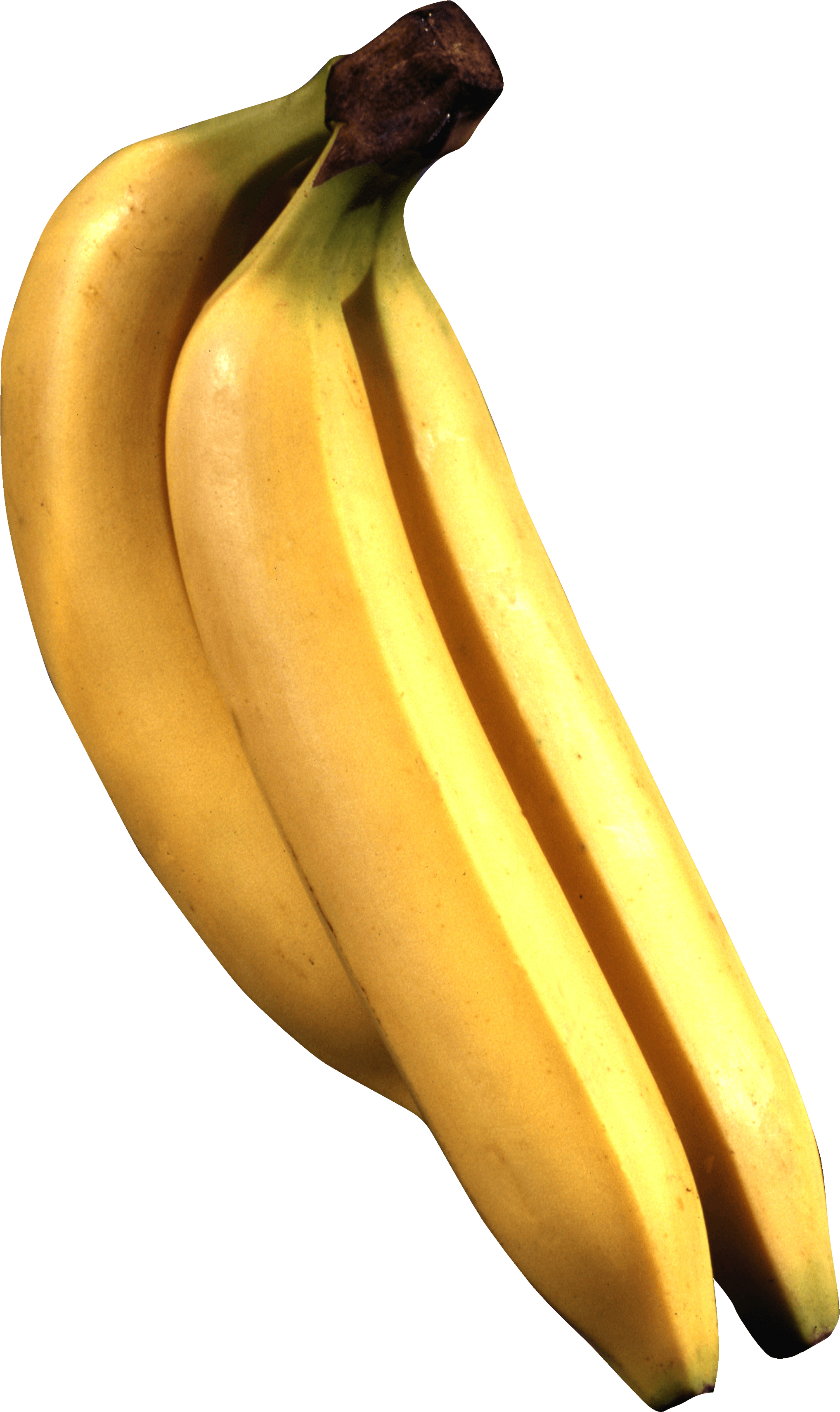 Macadamia Borer Bananas Pineapple Banana PNG