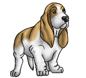 Hound Fauna Basset Trace Dogs PNG