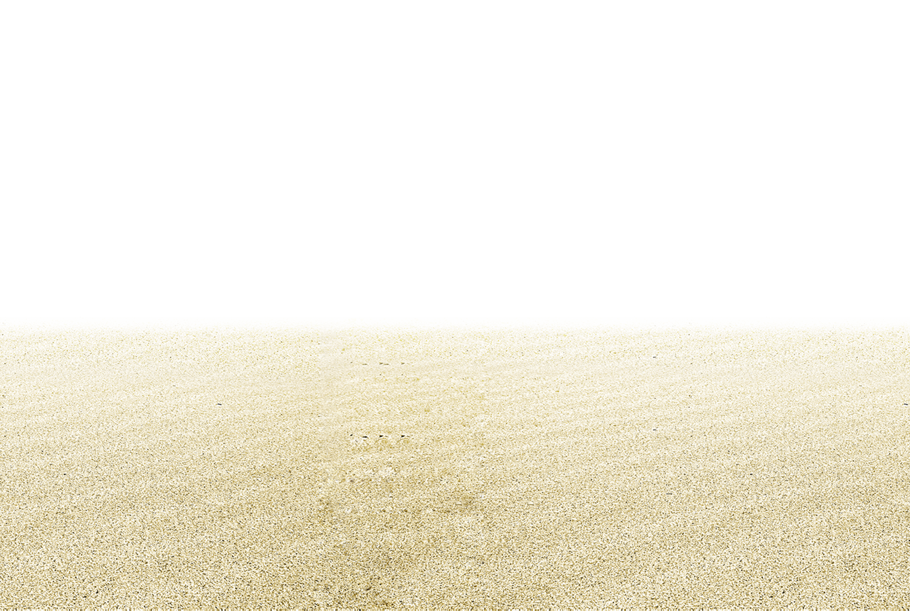 Beach Dunes Quality Sky Vector PNG