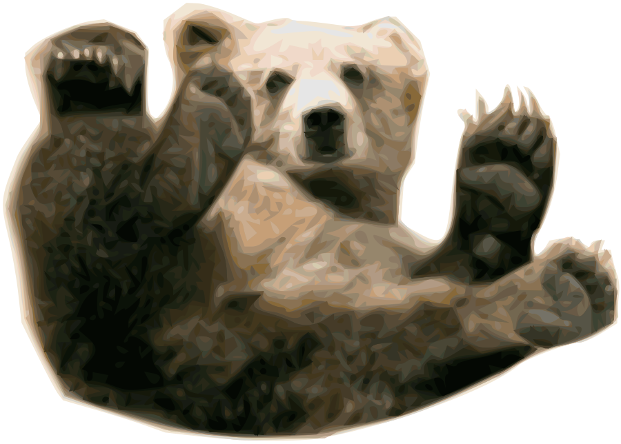 Animals Abide Keeping Birth Teddy PNG