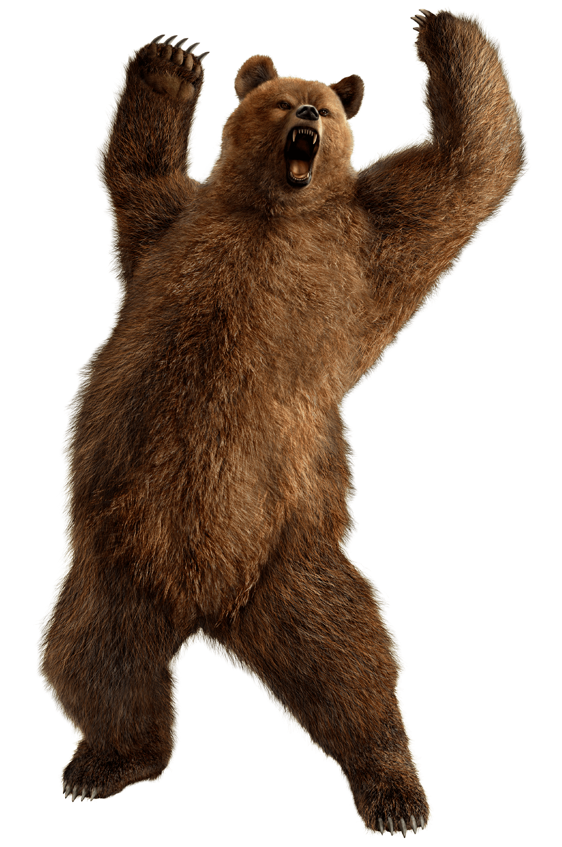 Wolverine Yield Brown Deport Bear PNG