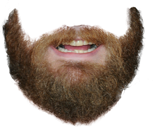 Whiskers Moment Nature Beard Pain PNG