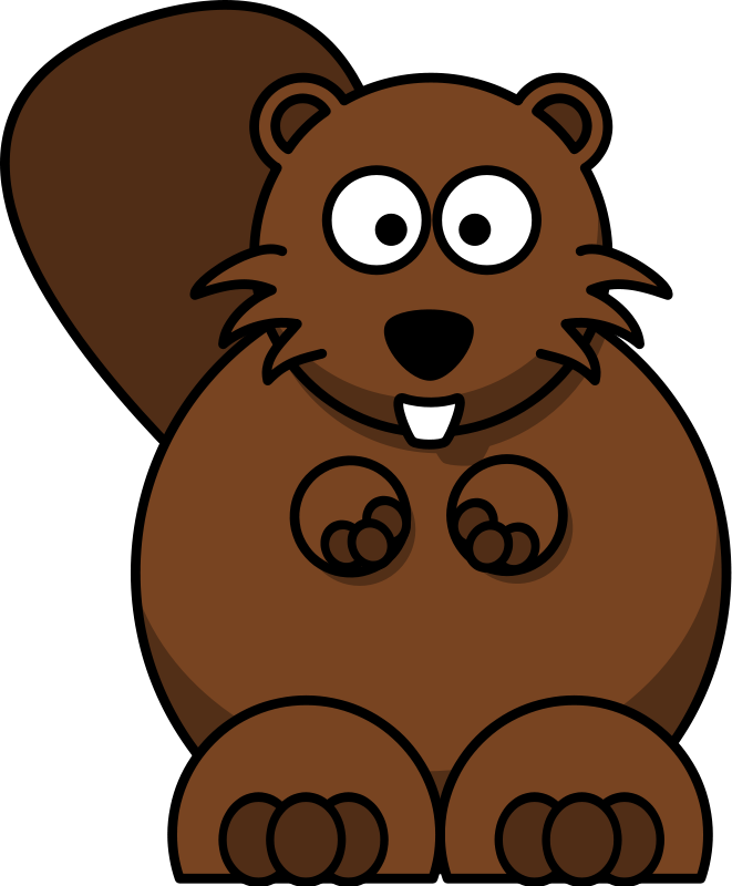 Beaver Cat Cartoon Raccoon Puss PNG