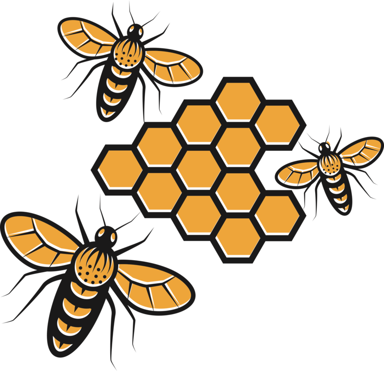 Insects Mite Honey Spelldown Apple PNG