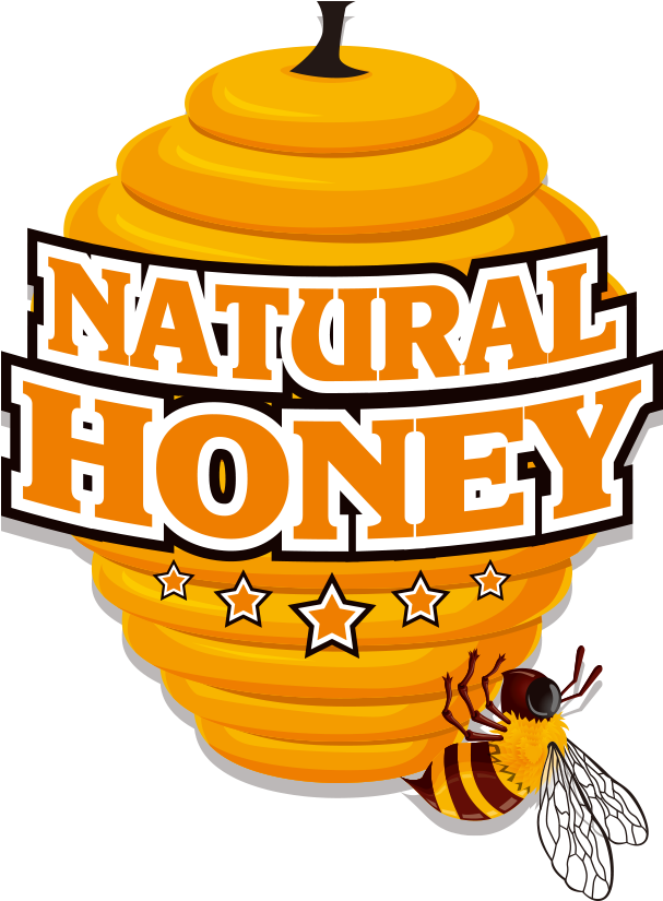 Bee Honey Vector Insects Yellow PNG