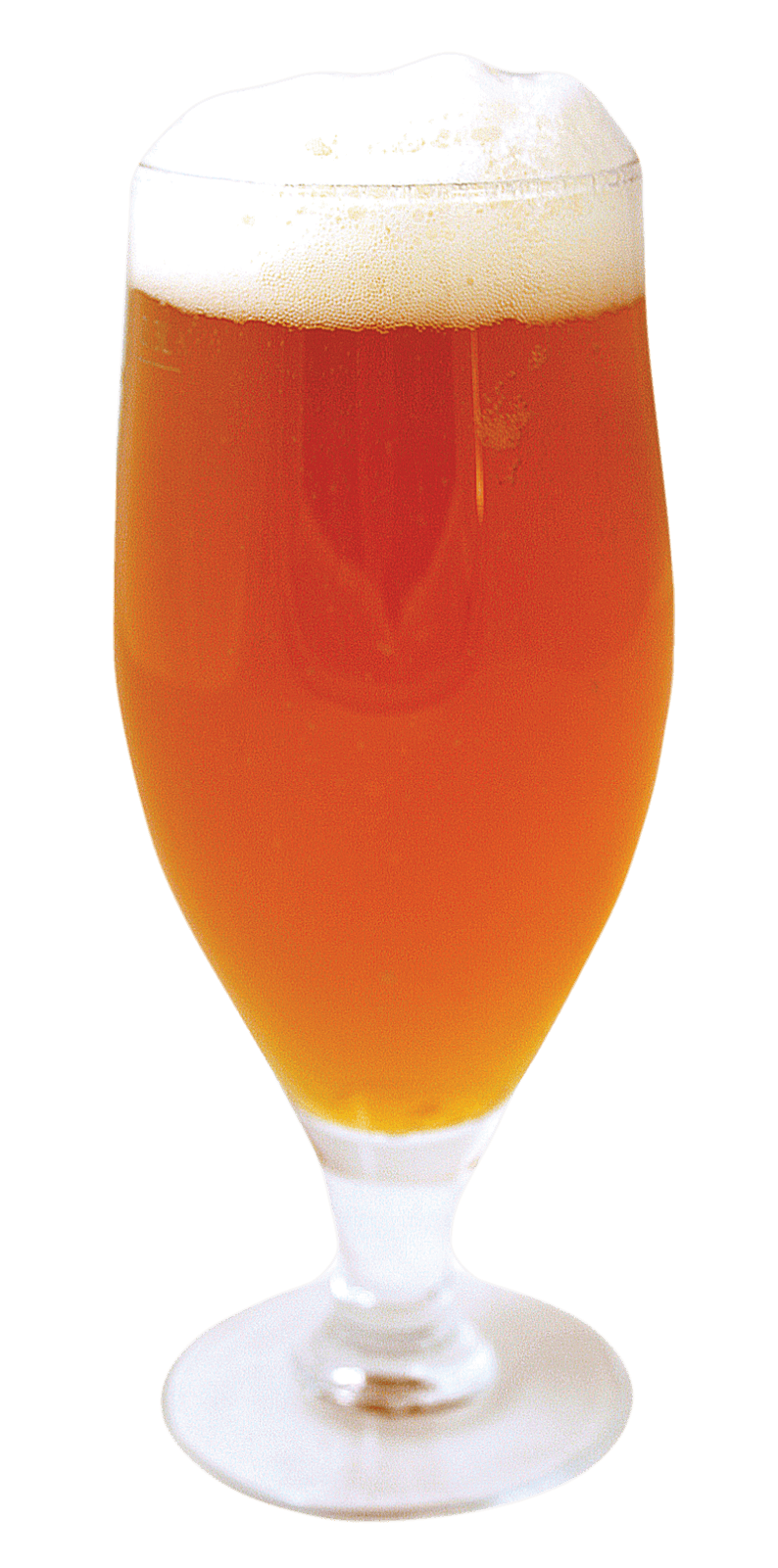 Glass Burger Bear Brewery Beer PNG