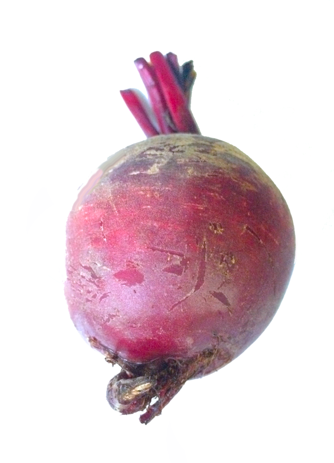 Onions Vegetables Cabbage Celery Caraway PNG