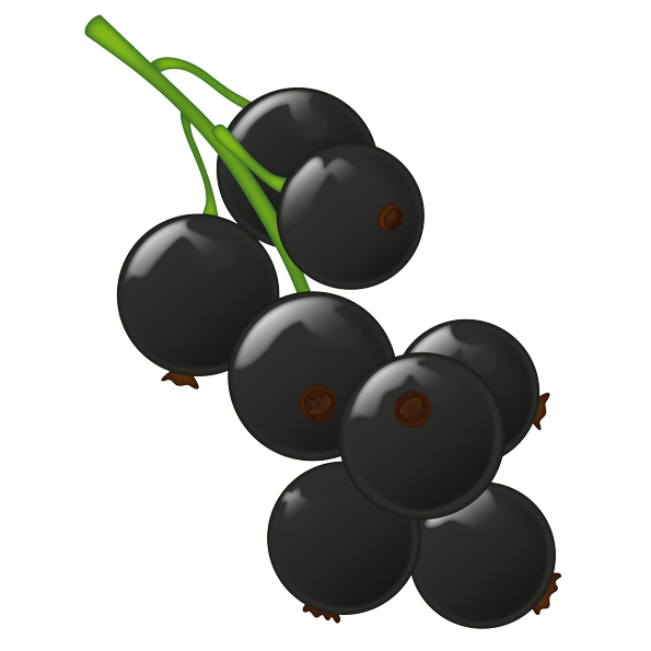 Currant Almonds Emoji Cranberries Black PNG
