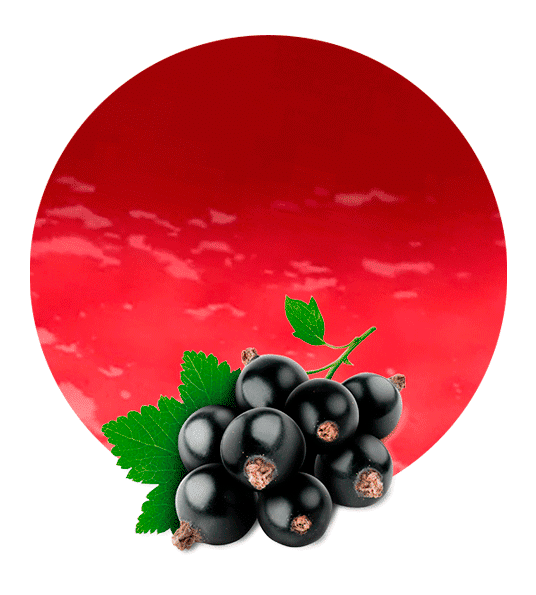 Gooseberries Cranberries Icon Berries Strawberries PNG