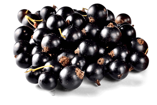 Black Apricots Currant Fruits Lettuces PNG