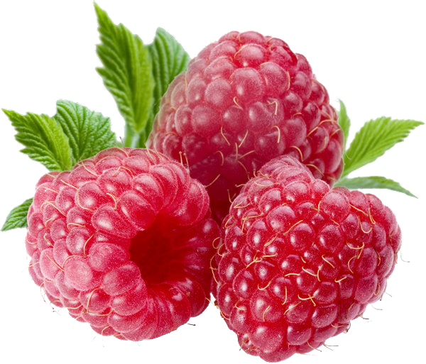 Berries Huckleberries Boysenberries Food Cranberries PNG