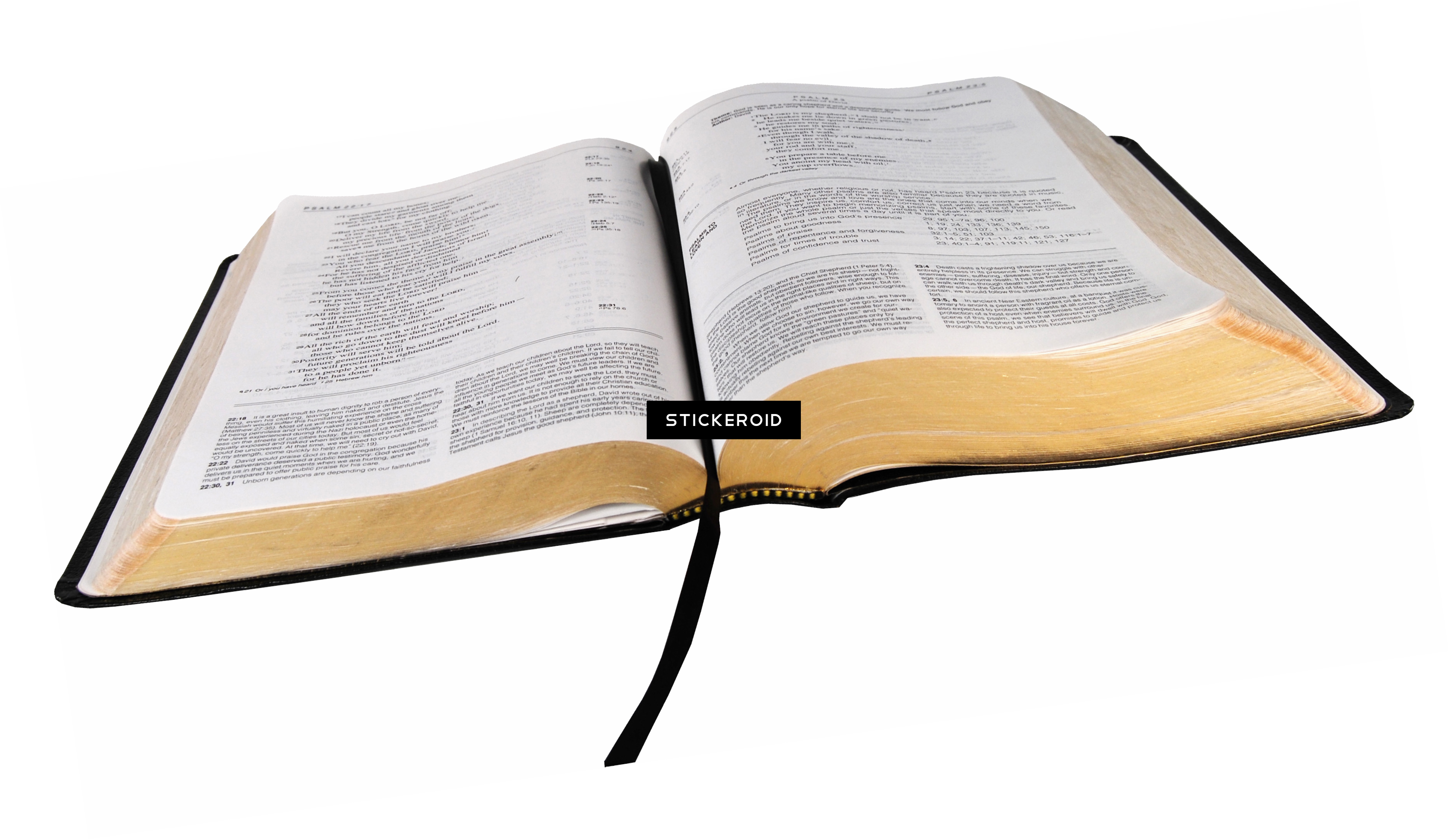 Scriptures Bible Holy Biblical Guidebook PNG