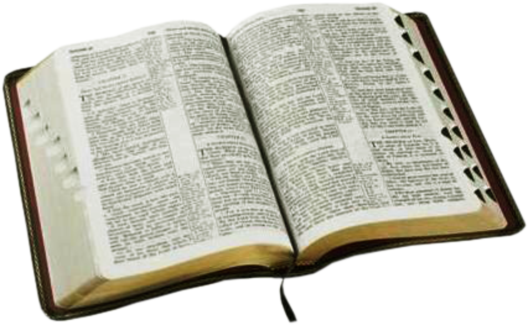 Bible Paper Holy Epistle Scriptures PNG