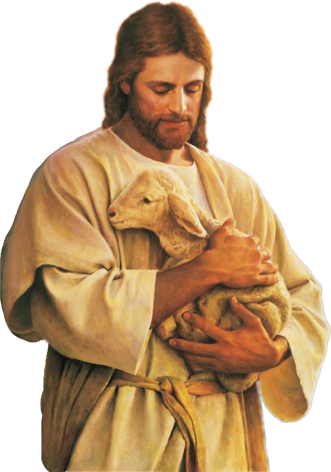 Homiletic Jesus Good Christianity Shepherd PNG