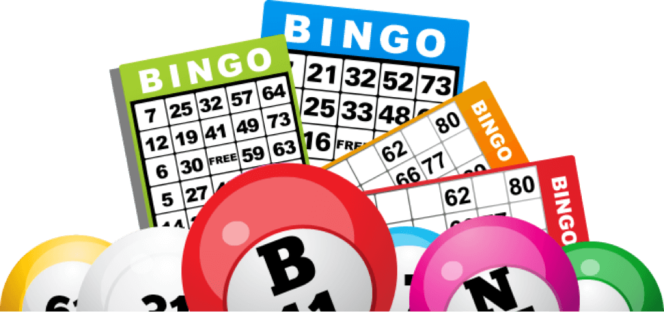 Coverall Cribbage Bookie Bingo Gamblers PNG