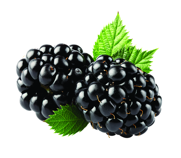 Grapes Peach Blackberry Health Befit PNG