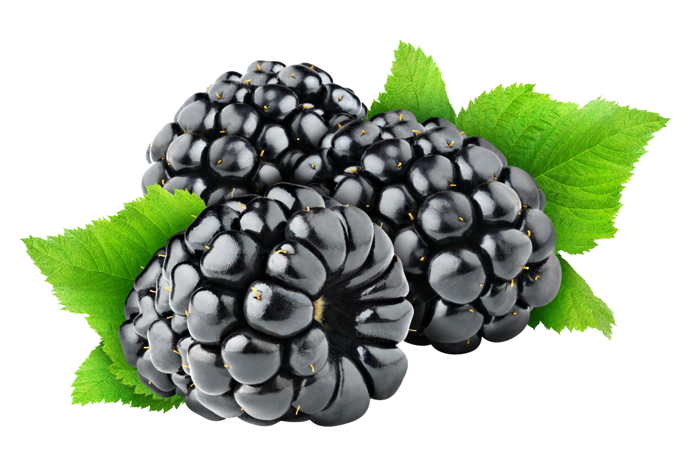 Canon Fruit Blackberry Food Dewberries PNG