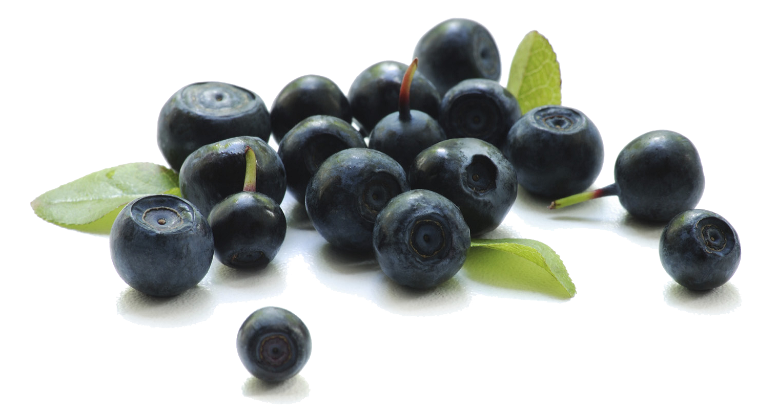 Blueberry Loganberry Berry Salad Pear PNG