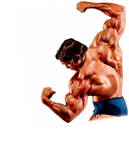 Couch Background Beefcake Weightlifter Bodybuilding PNG