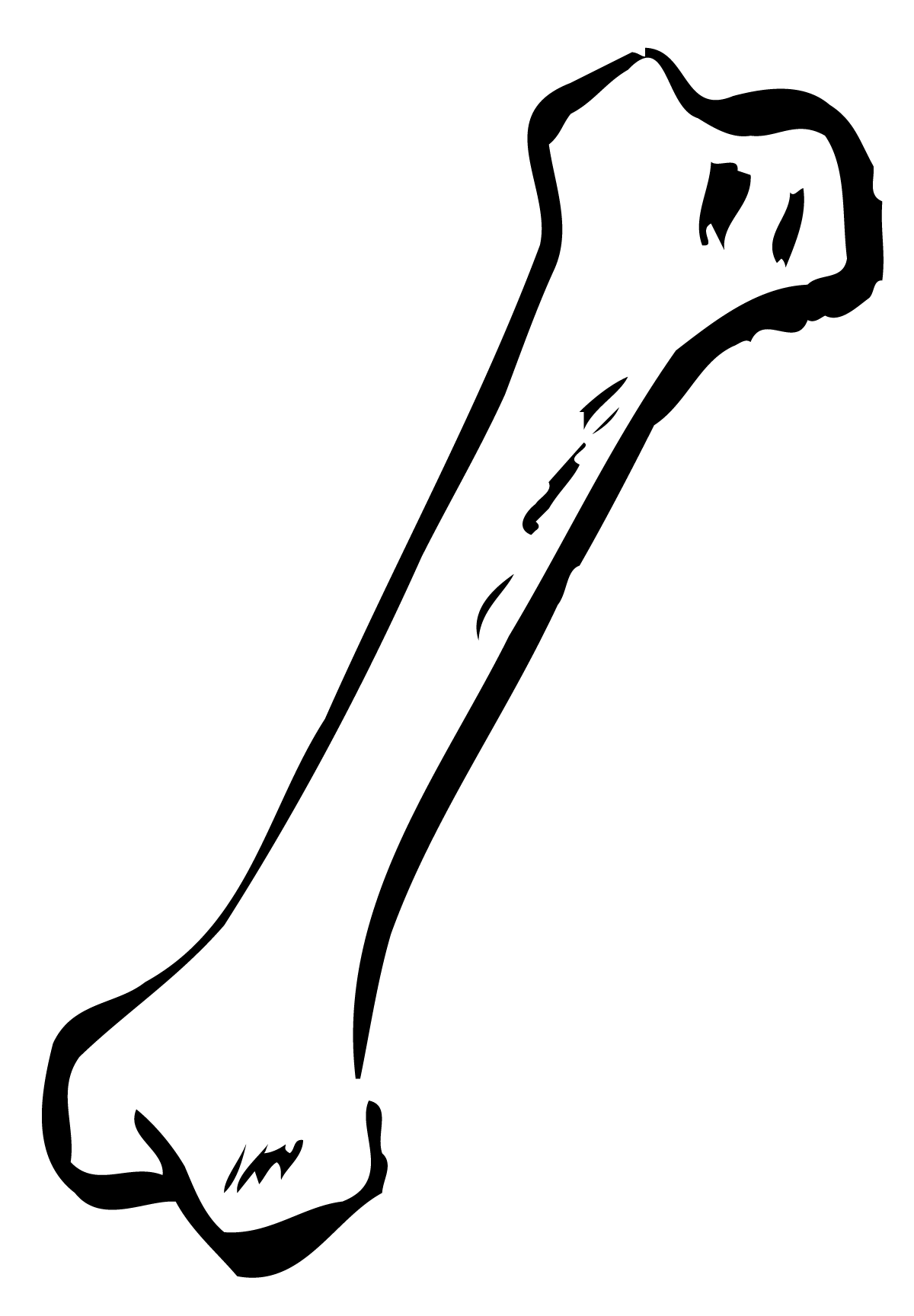 Trendy Silica Movie Logo Bone PNG