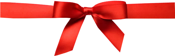 Ribbon Bow Arch Buckle Pander PNG
