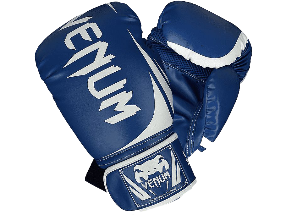 Boxing Sports Venum Gloves Potholder PNG
