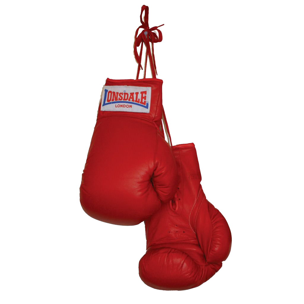 Love Life Boxing Gloves Pugilists PNG