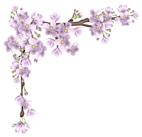 Lilac Material Departments Floating Color PNG