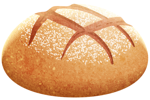 Vector Homework Wholewheat Pastry Bread PNG