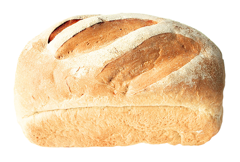 Pasta Baguettes Circle Ciabatta Money PNG