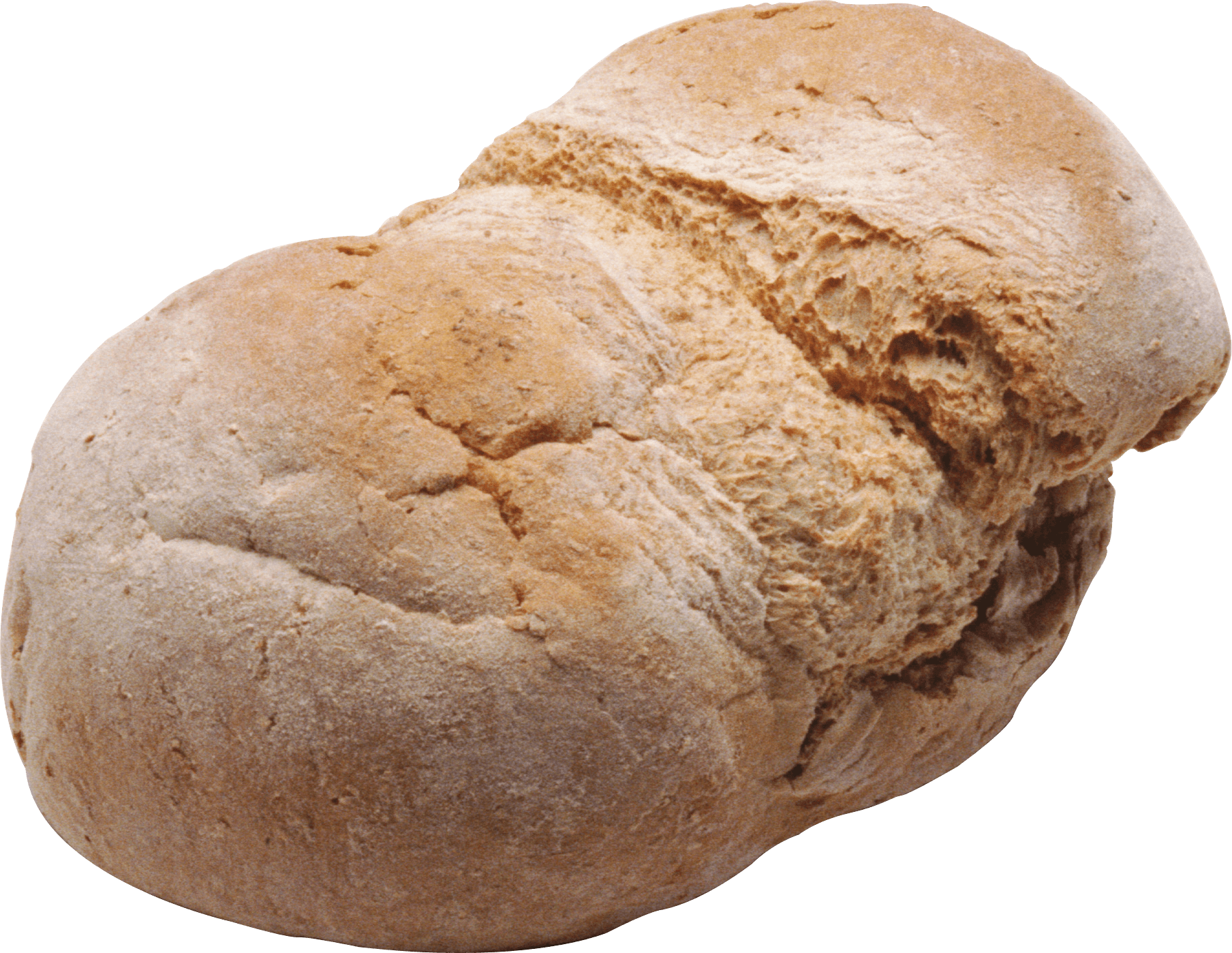 Bread Colorful Living Chicken Bacon PNG