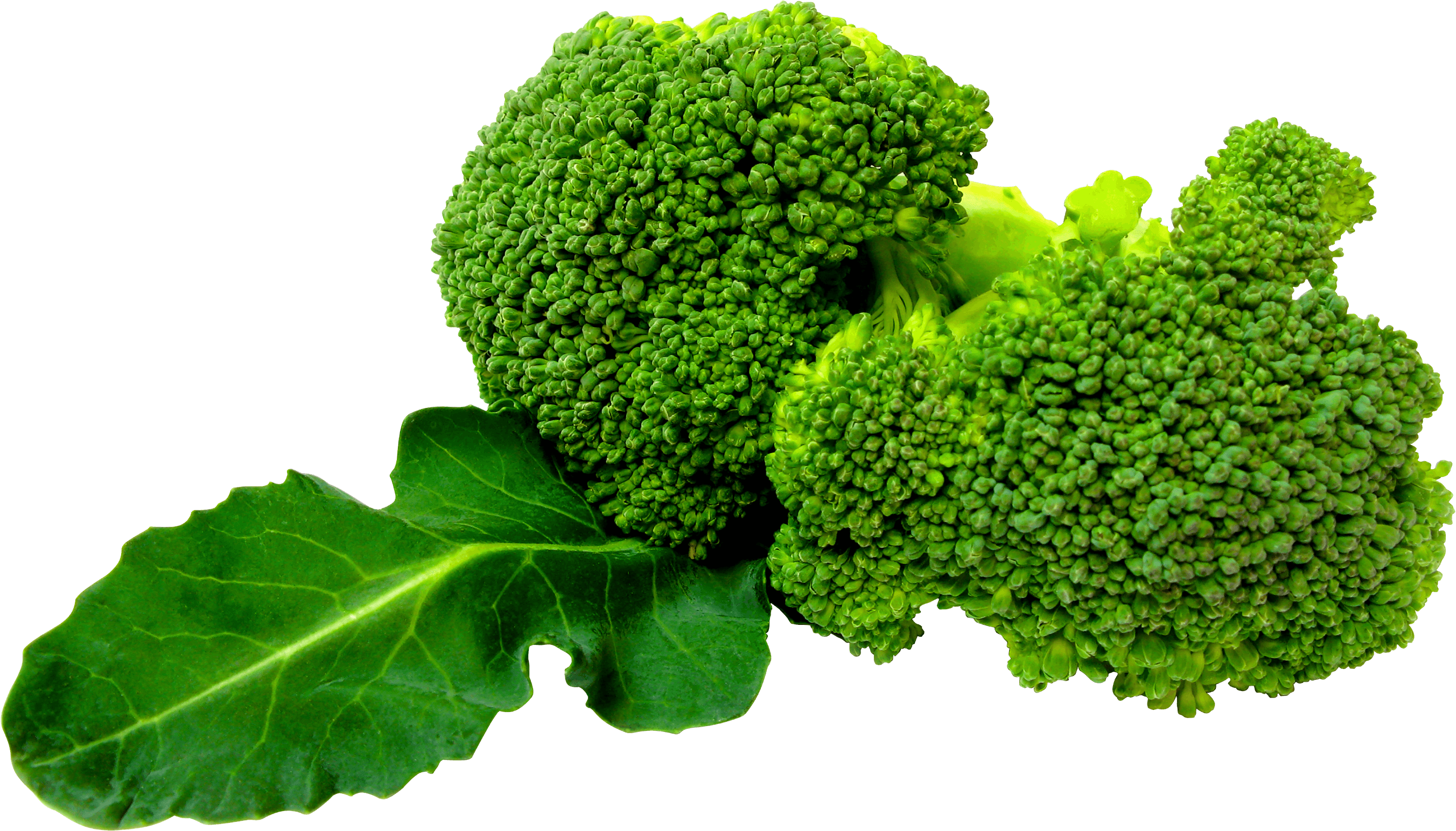 Broccoli Entrepreneur Cauliflower Blueberries Radish PNG