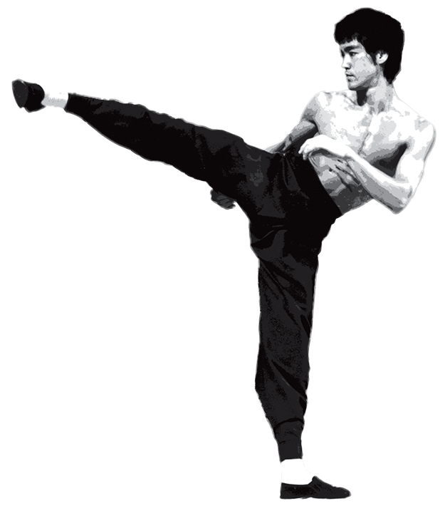 Downwind Balls Couch Bruce Lee PNG
