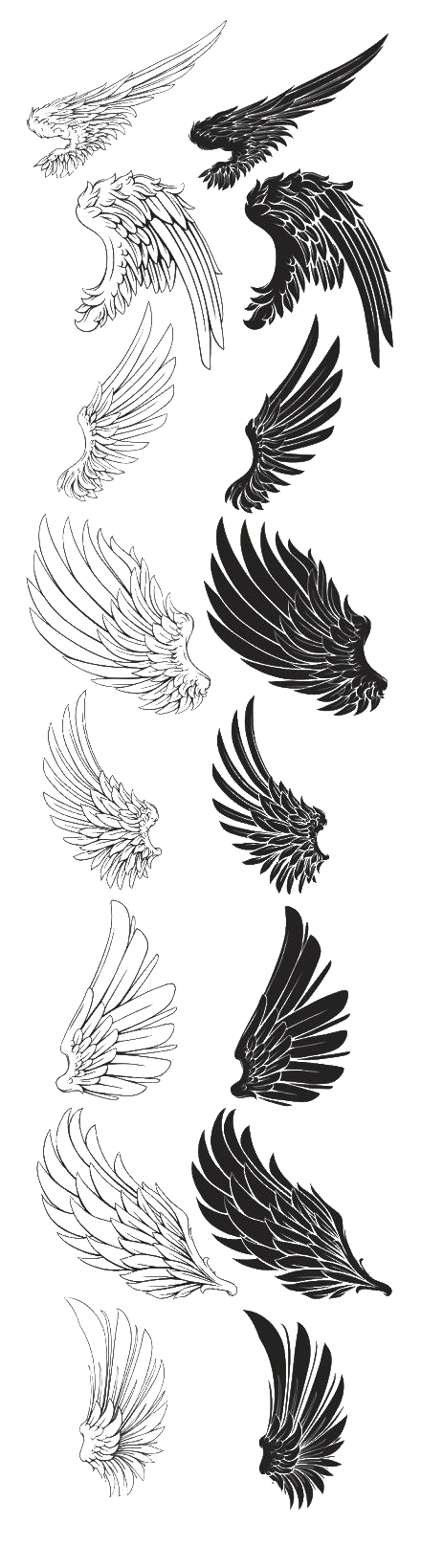 Kiss Eagle Drawing Feather Tattoo PNG