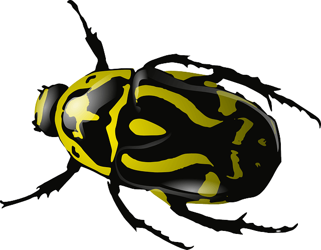 Pest Bug Awesomeness Yellow Dragonflies PNG