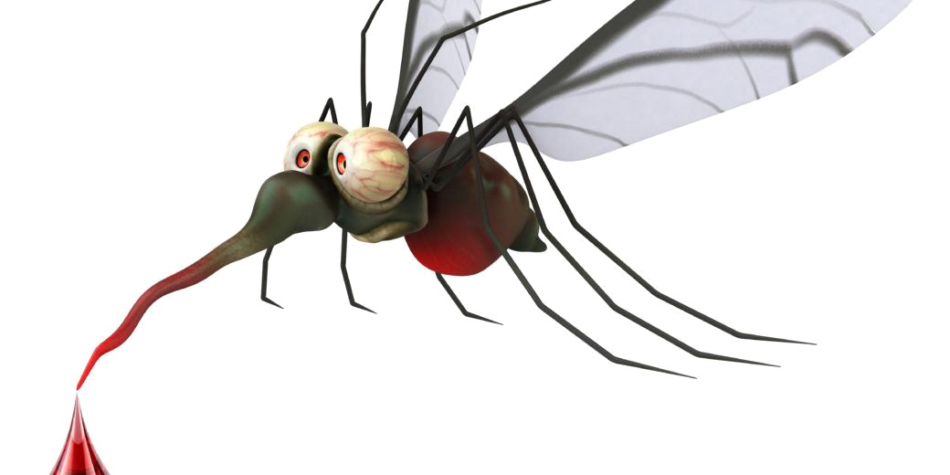 Parasite Mosquito Beetle Insects Bacterium PNG