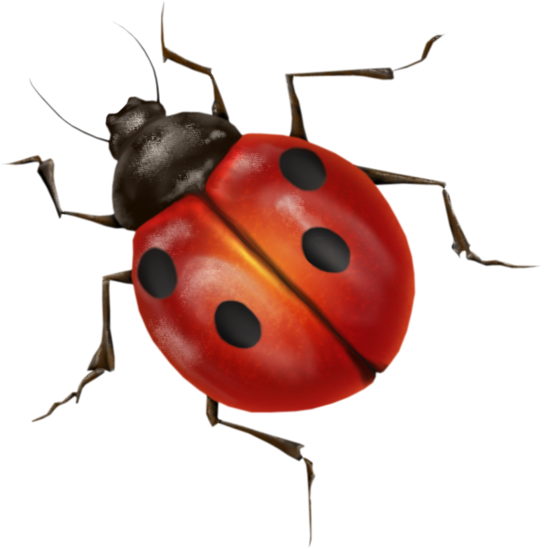 Insects Chiggers Pickups Badger Chips PNG