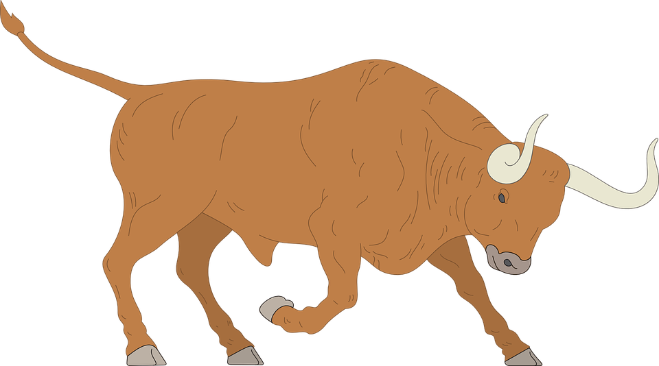 Animals Boar Upthrust Oxen Rising PNG