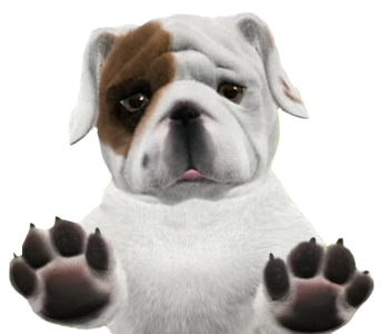 Bulldog Snakes Pug Animals Nature PNG