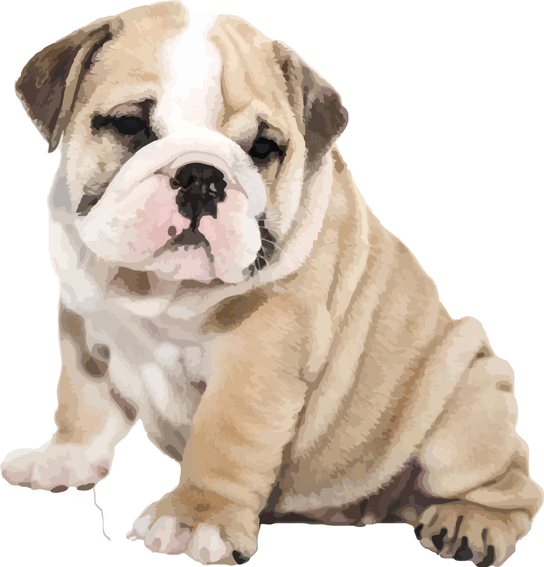 Brindle Tenacious Bulldog Animals Tabby PNG