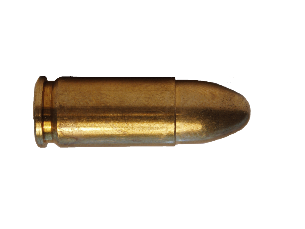 Purchase Slug Food Bullet Medallions PNG