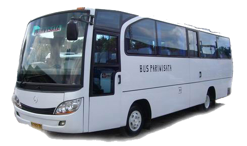 Transport Vehicles Terminus Coach Bus PNG