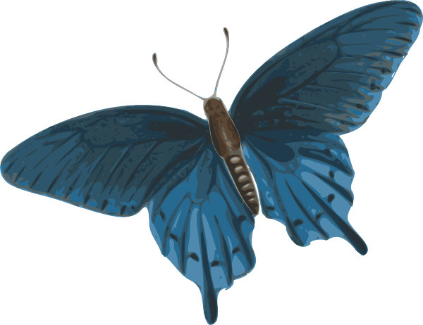 Tie Worm Insect Butterfly Honey PNG