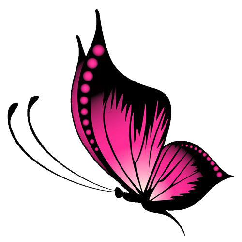 Pink Swimmer Wing Insects Butterfly PNG