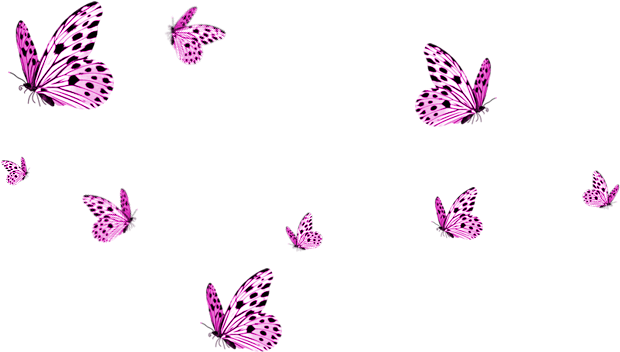 Sidestroke Orchid Moth Throttle Pink PNG