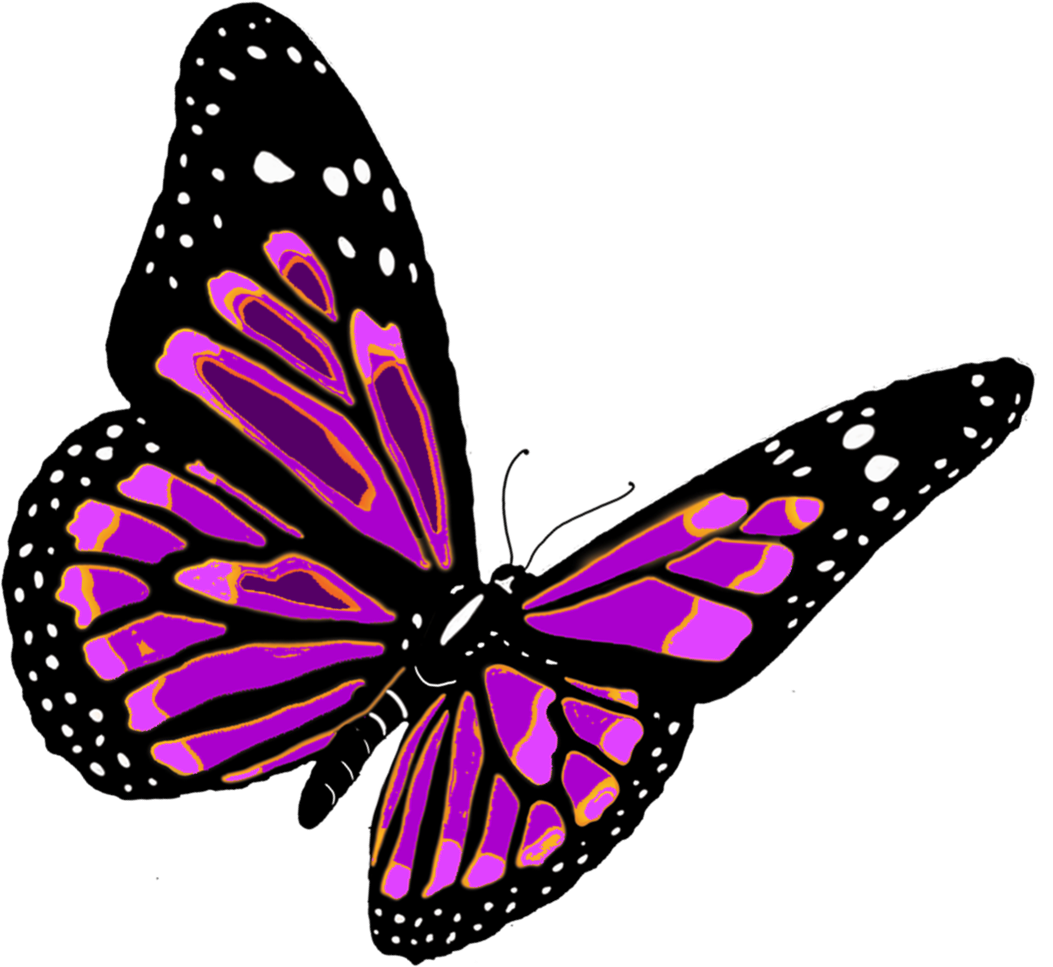 Insect Insects Relay Pink Bird PNG