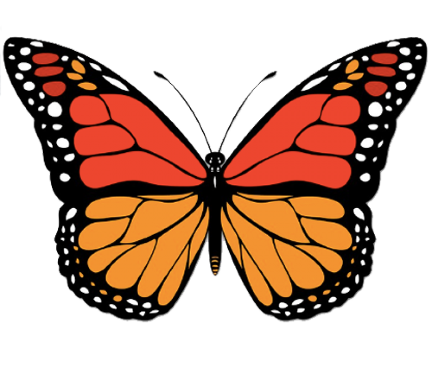 Butterfly Javelin Anemone Sidestroke Discus PNG