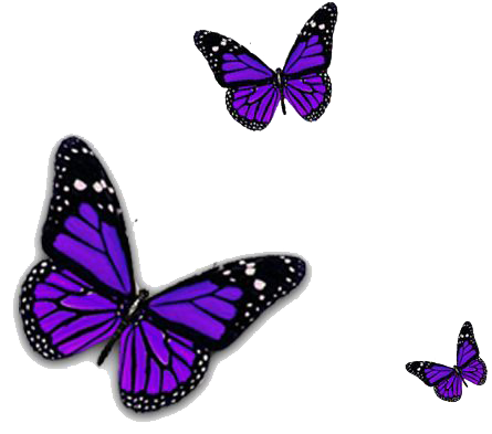 Purple Travel Butterfly Moth Dragonflies PNG