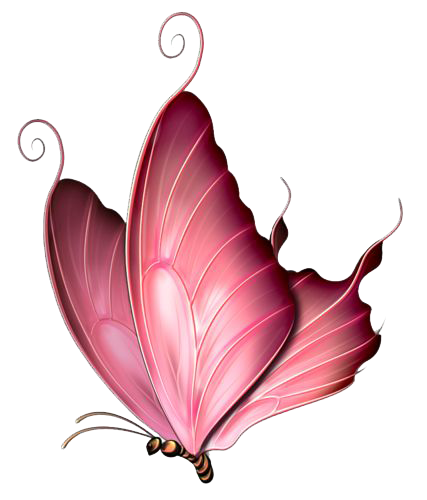 Butterfly Backpacking Insect Throttle Fleas PNG